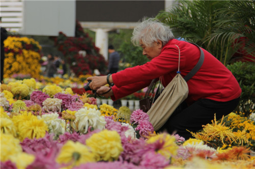 年逾古稀， “花心”依旧