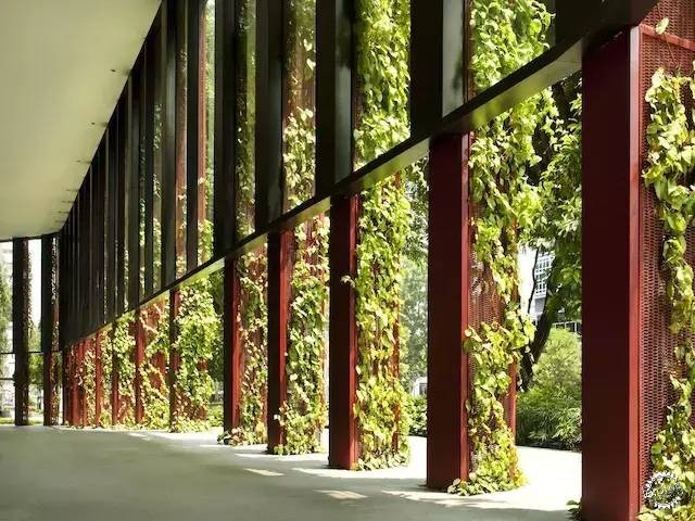 新加坡的生态建筑专业户，又建了一个长满绿植的酒店第15张图片